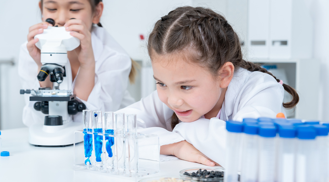 教育関連システム事業